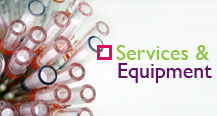 Services and Equipment